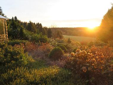 Holiday House in Hohegei� (Harz) or holiday homes and vacation rentals