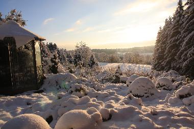 Holiday House in Hohegei� (Harz) or holiday homes and vacation rentals