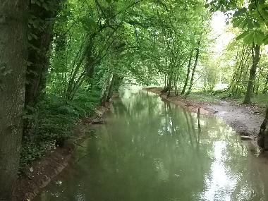 Palace / Castle in Naix-aux-Forges (Meuse) or holiday homes and vacation rentals