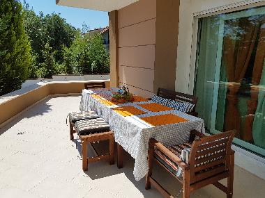 Villa in kriopigi (Chalkidiki) or holiday homes and vacation rentals