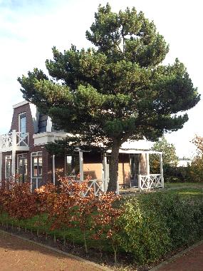 Holiday House in Noordwijk (Zuid-Holland) or holiday homes and vacation rentals