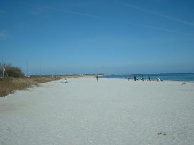 Holiday House in Sch�nhagen (Ostsee-Festland) or holiday homes and vacation rentals