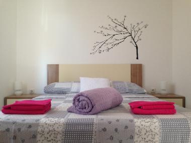 Holiday Apartment in Milna (Splitsko-Dalmatinska) or holiday homes and vacation rentals