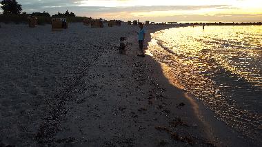 Holiday Apartment in Schnberg (Ostsee-Festland) or holiday homes and vacation rentals