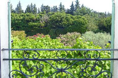 Holiday House in Carpentras (Vaucluse) or holiday homes and vacation rentals