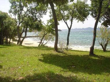 Holiday Apartment in Petrcane,Zadar (Zadarska) or holiday homes and vacation rentals