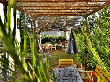 Holiday Apartment in Petrcane,Zadar (Zadarska) or holiday homes and vacation rentals