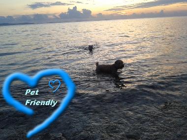 Holiday Apartment in Petrcane,Zadar (Zadarska) or holiday homes and vacation rentals