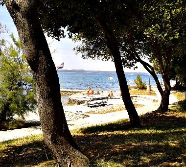 Holiday Apartment in Petrcane,Zadar (Zadarska) or holiday homes and vacation rentals