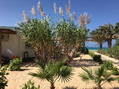 Holiday House in Boa Vista (Boa Vista) or holiday homes and vacation rentals