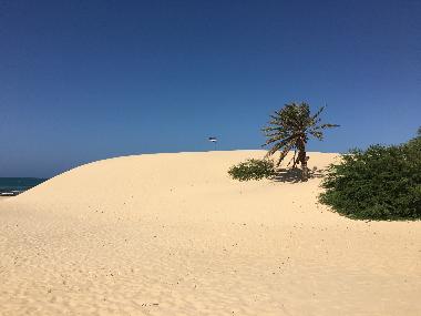 Holiday House in Boa Vista (Boa Vista) or holiday homes and vacation rentals