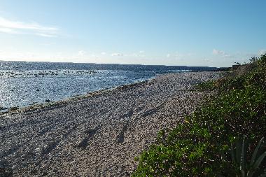 Holiday Apartment in trois bassins (R�union) or holiday homes and vacation rentals