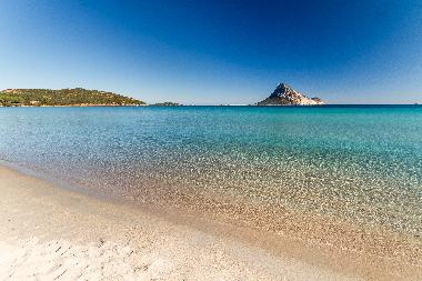 the beach at 250 mt. from the house