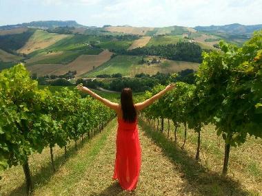 Holiday Apartment in Montefiore dell