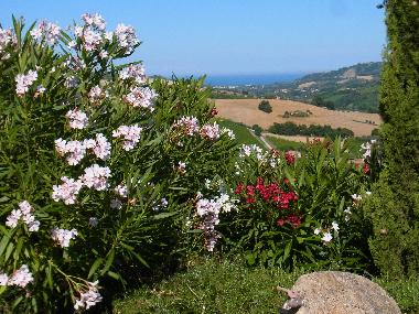 Holiday House in Montefiore dell