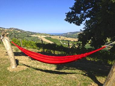 Holiday Apartment in Montefiore dell