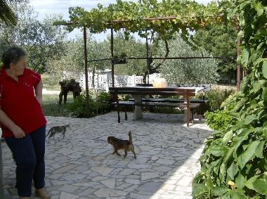 Holiday House in Sv. Lovrec (Istarska) or holiday homes and vacation rentals