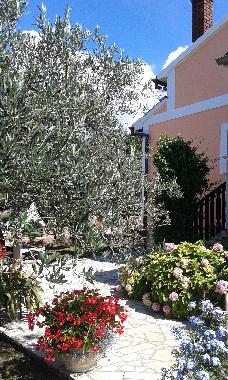 Holiday House in Sv. Lovrec (Istarska) or holiday homes and vacation rentals