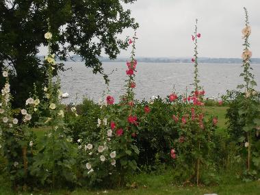 Holiday House in Gager (Ostsee-Inseln) or holiday homes and vacation rentals