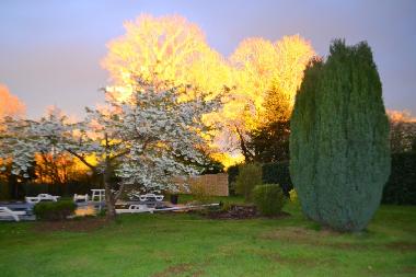 Sunset over Rear Garden