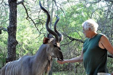 Holiday House in Marloth Park (Mpumalanga) or holiday homes and vacation rentals
