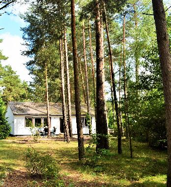 Holiday Apartment in Rheinsberg, OT Kagar (Ostprignitz-Ruppin) or holiday homes and vacation rentals