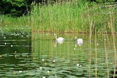 Holiday Apartment in Rheinsberg, OT Kagar (Ostprignitz-Ruppin) or holiday homes and vacation rentals