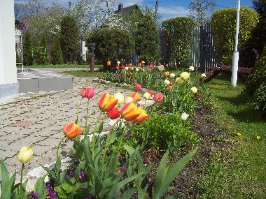 Holiday Apartment in Jurmala (Lettland) or holiday homes and vacation rentals