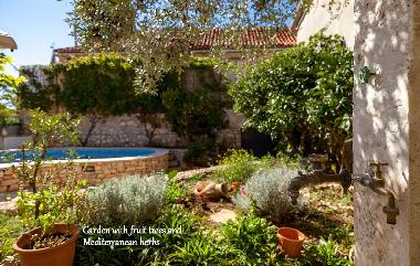 Villa in Milna (Splitsko-Dalmatinska) or holiday homes and vacation rentals