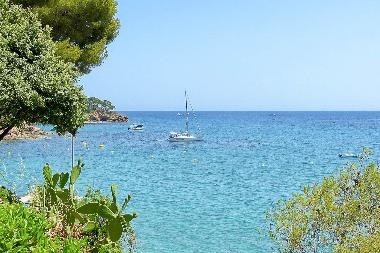 Holiday House in Le Rayol-Canadel (Var) or holiday homes and vacation rentals