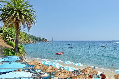 Holiday House in Le Rayol-Canadel (Var) or holiday homes and vacation rentals