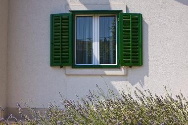 Villa in Dugi Rat (Splitsko-Dalmatinska) or holiday homes and vacation rentals