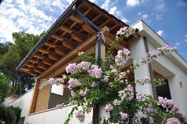 Holiday House in Milna (Splitsko-Dalmatinska) or holiday homes and vacation rentals