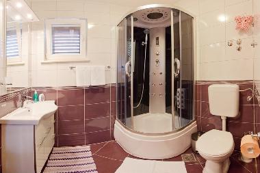 Villa in Mirca (Splitsko-Dalmatinska) or holiday homes and vacation rentals