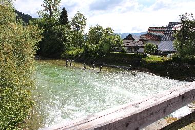 Fishing in the Sava river