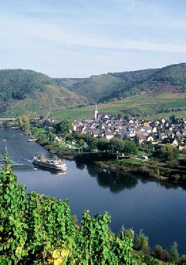 Holiday House in Bruttig-Fankel (Mosel - Saar) or holiday homes and vacation rentals