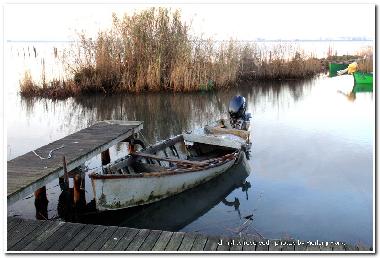 Holiday Apartment in Oristano (Oristano) or holiday homes and vacation rentals