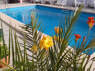 Holiday Apartment in 52440 POREC (Istarska) or holiday homes and vacation rentals