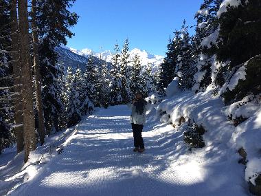 Holiday Apartment in Prutz (Tiroler Oberland) or holiday homes and vacation rentals