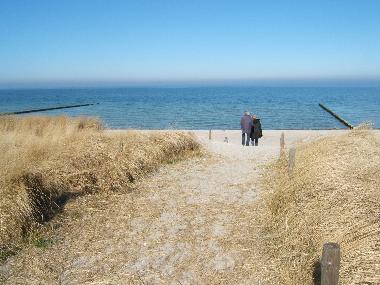 Holiday Apartment in Zingst (Fischland-Dar-Zingst) or holiday homes and vacation rentals
