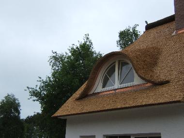 Holiday Apartment in Zingst (Fischland-Dar-Zingst) or holiday homes and vacation rentals