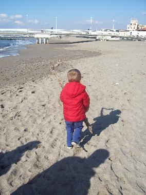 Villa in Marina di Massa (Massa-Carrara) or holiday homes and vacation rentals