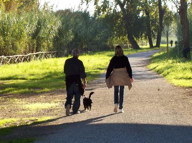 Villa in Marina di Massa (Massa-Carrara) or holiday homes and vacation rentals