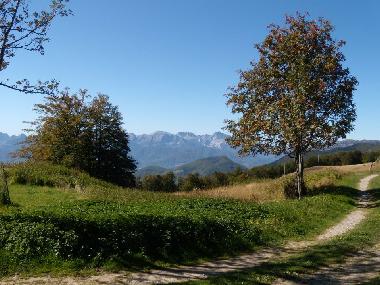 Villa in Marina di Massa (Massa-Carrara) or holiday homes and vacation rentals