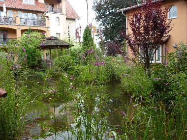 Holiday Apartment in K�hlungsborn (Mecklenburgische Ostseek�ste) or holiday homes and vacation rentals
