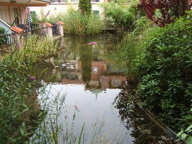 Holiday Apartment in K�hlungsborn (Mecklenburgische Ostseek�ste) or holiday homes and vacation rentals
