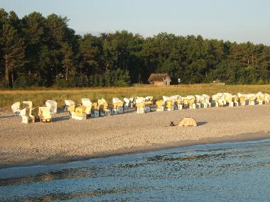 Holiday Apartment in Zingst (Ostsee-Inseln) or holiday homes and vacation rentals