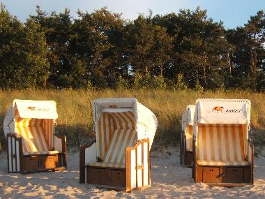 Holiday Apartment in Zingst (Ostsee-Inseln) or holiday homes and vacation rentals