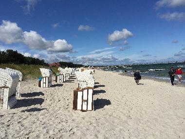 Holiday Apartment in Zingst (Ostsee-Inseln) or holiday homes and vacation rentals