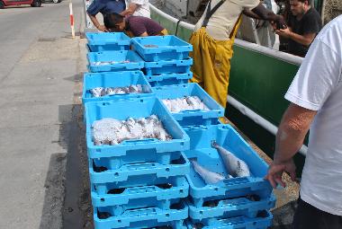 Holiday House in ROSAS (Girona) or holiday homes and vacation rentals